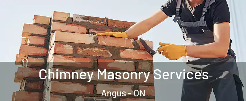 Chimney Masonry Services Angus - ON