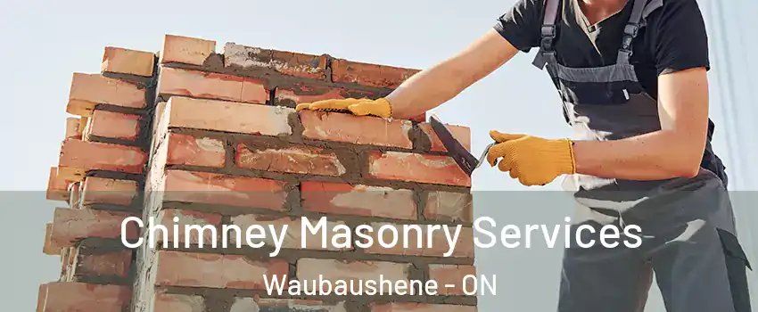  Chimney Masonry Services Waubaushene - ON