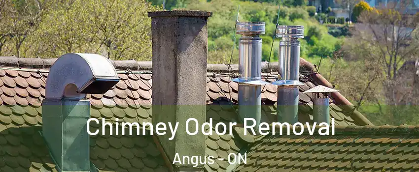  Chimney Odor Removal Angus - ON