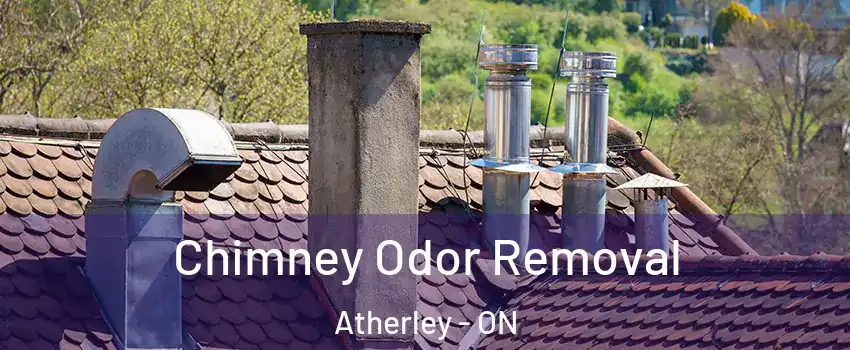  Chimney Odor Removal Atherley - ON