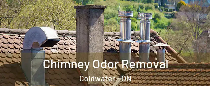  Chimney Odor Removal Coldwater - ON
