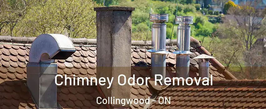  Chimney Odor Removal Collingwood - ON
