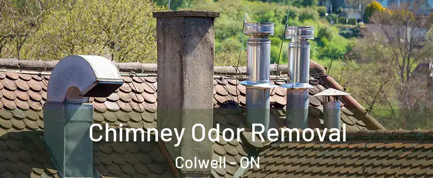  Chimney Odor Removal Colwell - ON