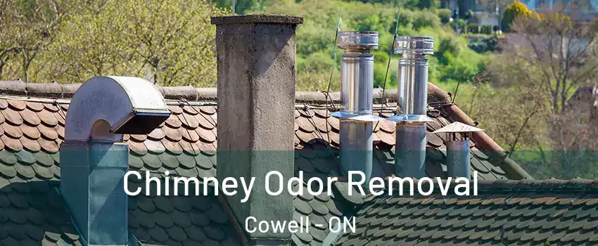  Chimney Odor Removal Cowell - ON