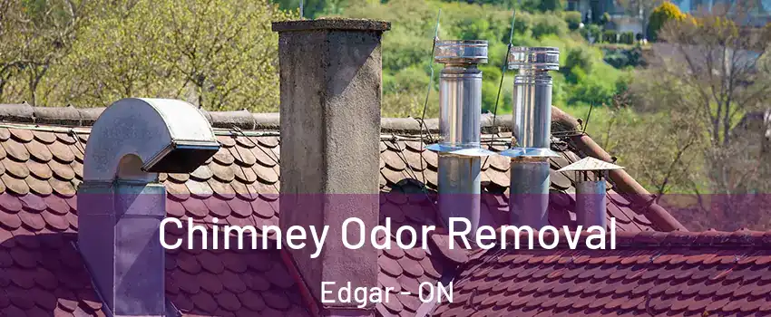  Chimney Odor Removal Edgar - ON