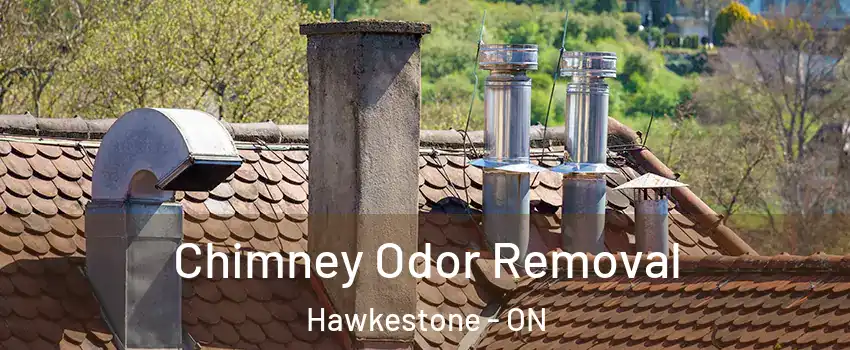 Chimney Odor Removal Hawkestone - ON