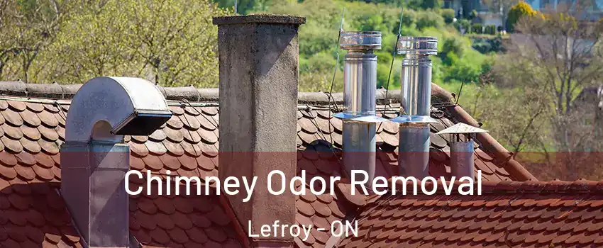 Chimney Odor Removal Lefroy - ON