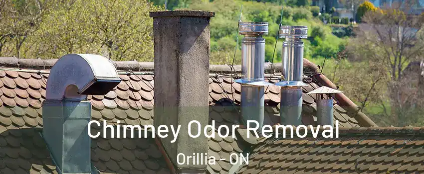  Chimney Odor Removal Orillia - ON