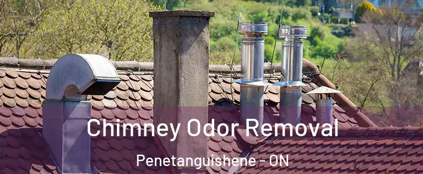 Chimney Odor Removal Penetanguishene - ON