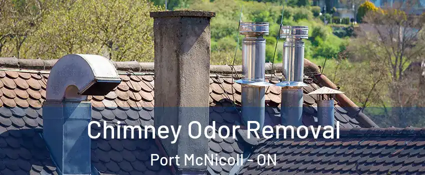  Chimney Odor Removal Port McNicoll - ON