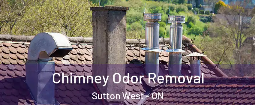  Chimney Odor Removal Sutton West - ON