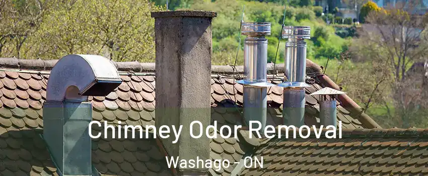  Chimney Odor Removal Washago - ON