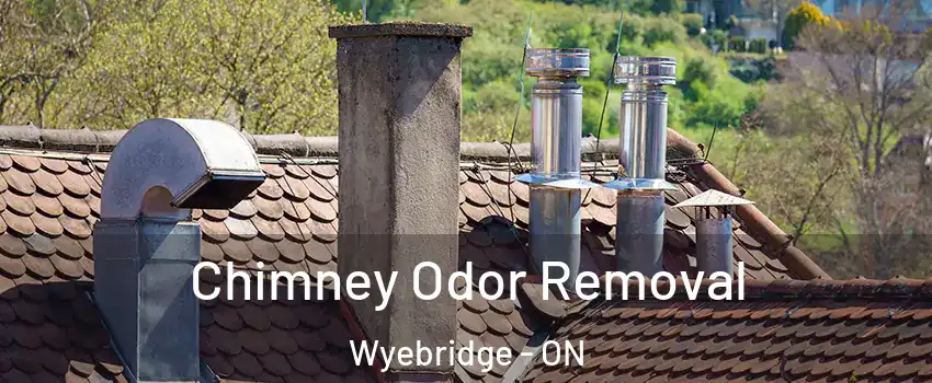  Chimney Odor Removal Wyebridge - ON
