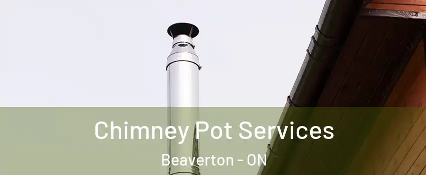 Chimney Pot Services Beaverton - ON