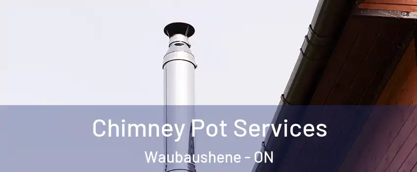  Chimney Pot Services Waubaushene - ON