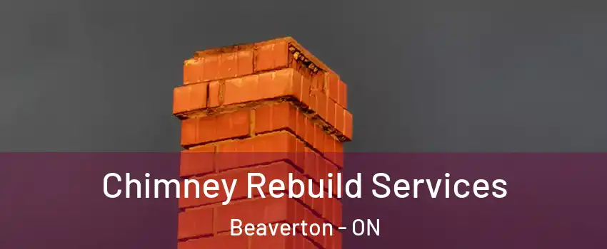  Chimney Rebuild Services Beaverton - ON