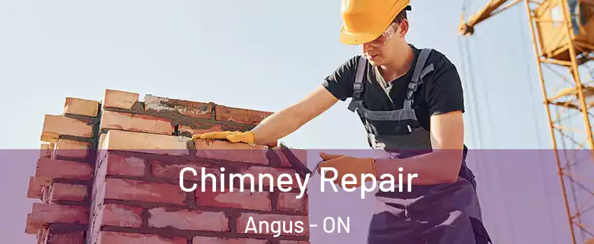  Chimney Repair Angus - ON