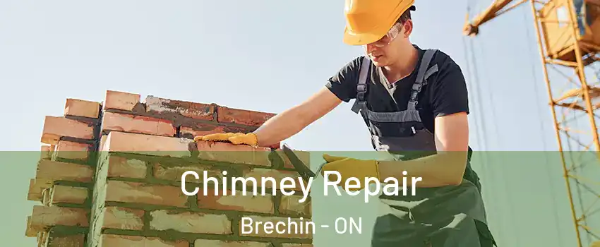  Chimney Repair Brechin - ON