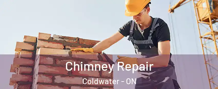  Chimney Repair Coldwater - ON