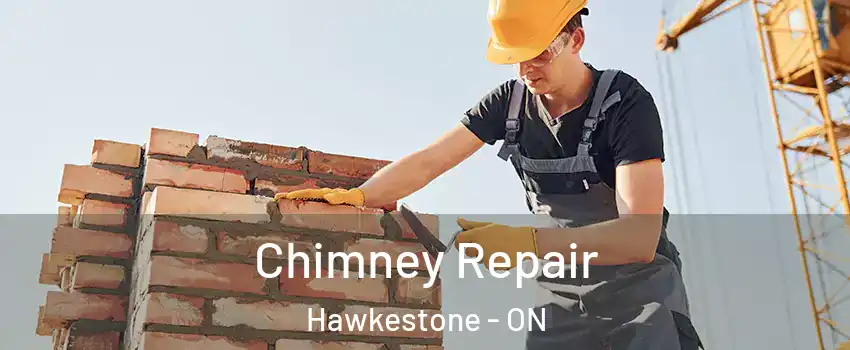Chimney Repair Hawkestone - ON