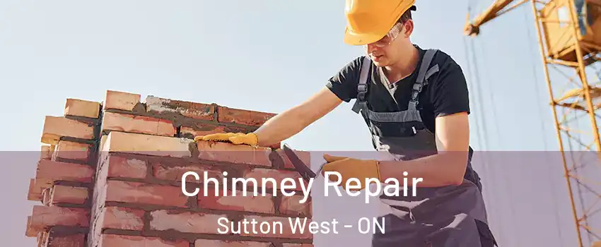 Chimney Repair Sutton West - ON