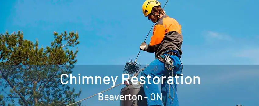  Chimney Restoration Beaverton - ON
