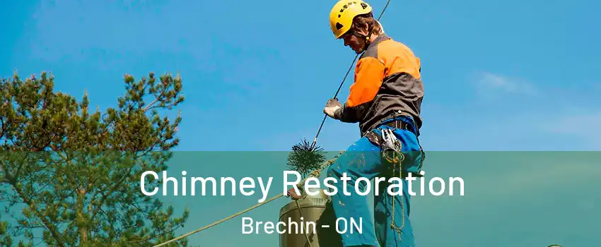  Chimney Restoration Brechin - ON