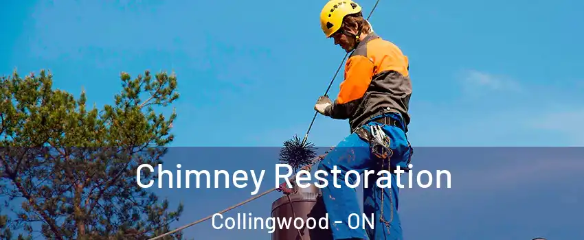  Chimney Restoration Collingwood - ON