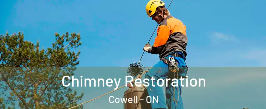  Chimney Restoration Cowell - ON
