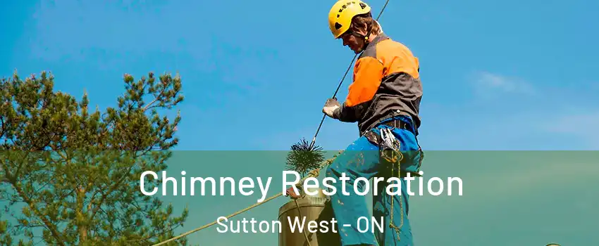  Chimney Restoration Sutton West - ON