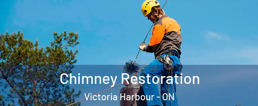  Chimney Restoration Victoria Harbour - ON