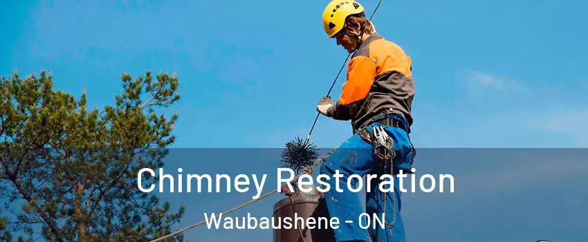 Chimney Restoration Waubaushene - ON