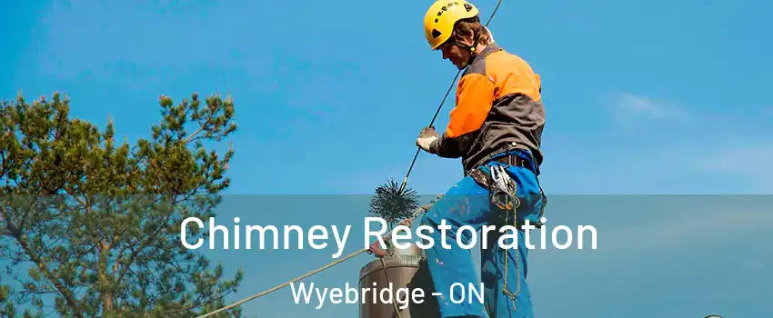  Chimney Restoration Wyebridge - ON