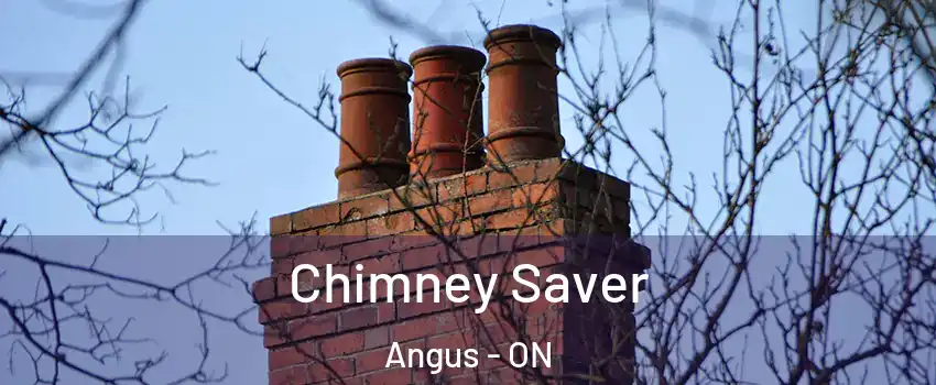 Chimney Saver Angus - ON