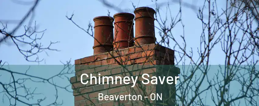Chimney Saver Beaverton - ON