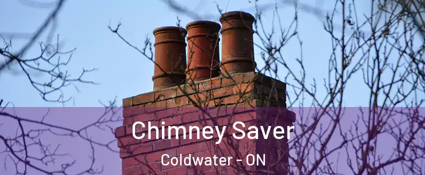 Chimney Saver Coldwater - ON