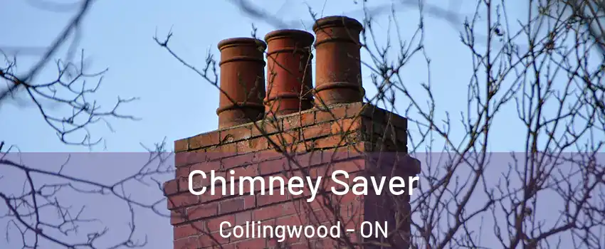 Chimney Saver Collingwood - ON