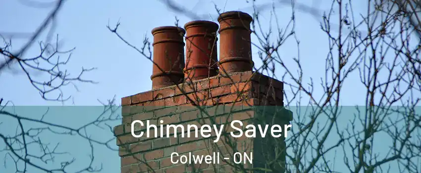 Chimney Saver Colwell - ON