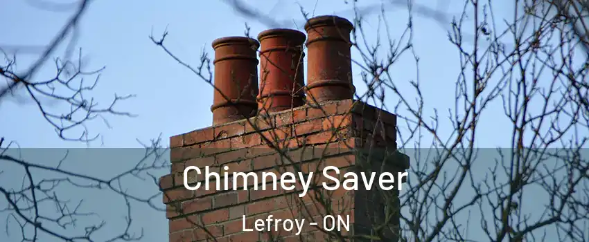  Chimney Saver Lefroy - ON