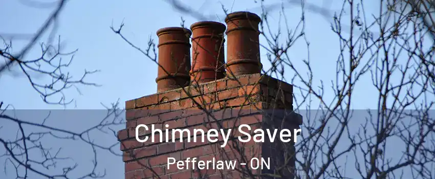  Chimney Saver Pefferlaw - ON
