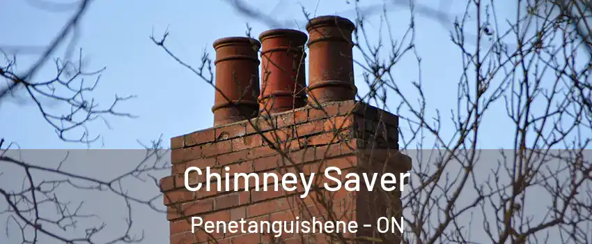  Chimney Saver Penetanguishene - ON