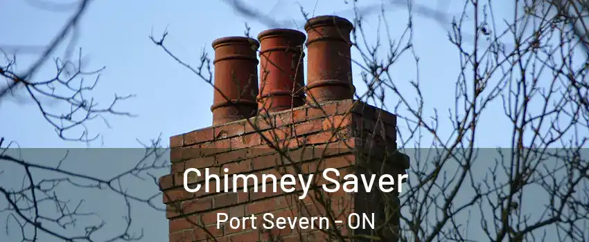  Chimney Saver Port Severn - ON