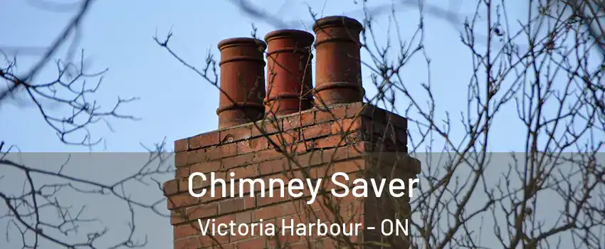  Chimney Saver Victoria Harbour - ON