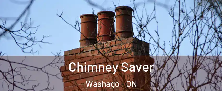  Chimney Saver Washago - ON