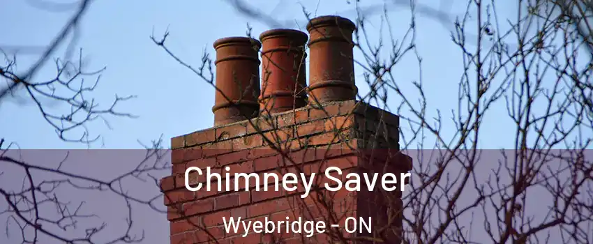 Chimney Saver Wyebridge - ON