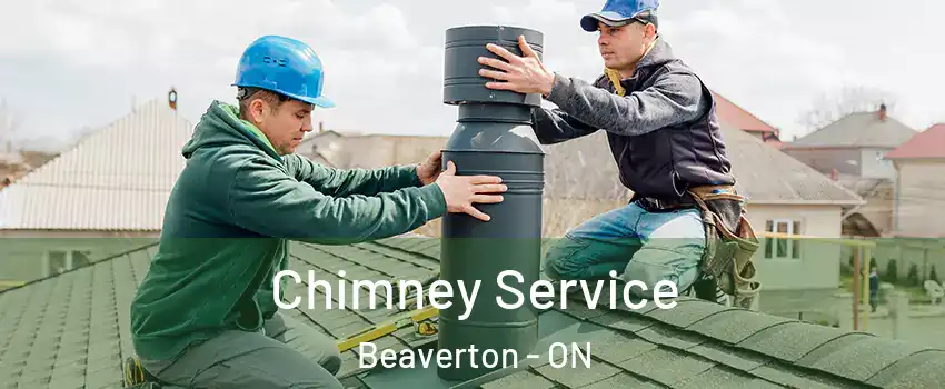  Chimney Service Beaverton - ON