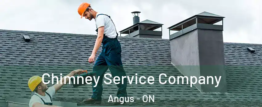  Chimney Service Company Angus - ON