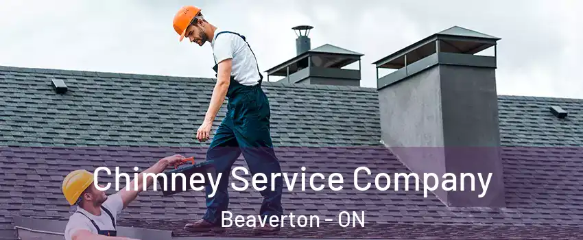  Chimney Service Company Beaverton - ON