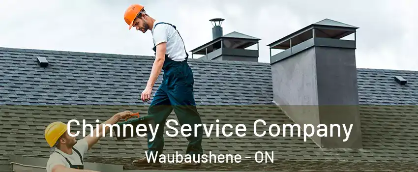  Chimney Service Company Waubaushene - ON