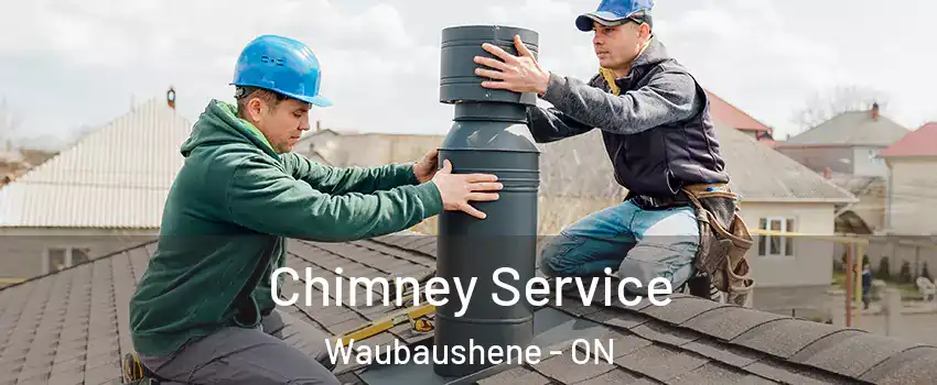 Chimney Service Waubaushene - ON